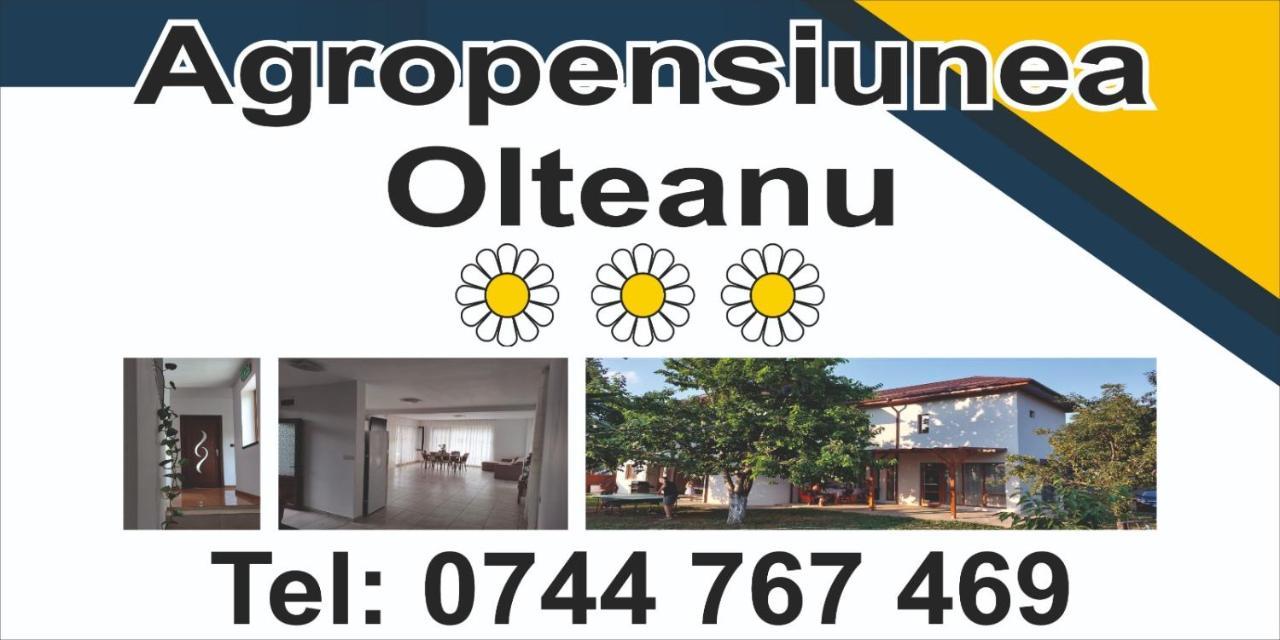 Agropensiunea Olteanu Niculitel Екстер'єр фото